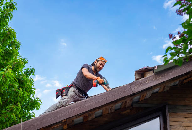 Best Asphalt Shingle Roofing  in West Columbia, TX