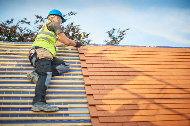 Steel Roofing in West Columbia, TX